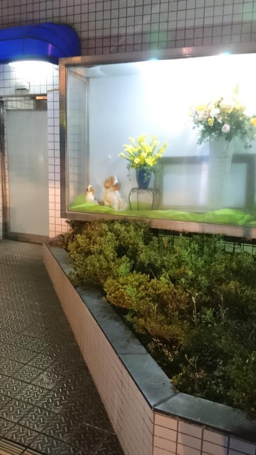 Hotel Loire (Adults Only) Osaka Eksteriør billede